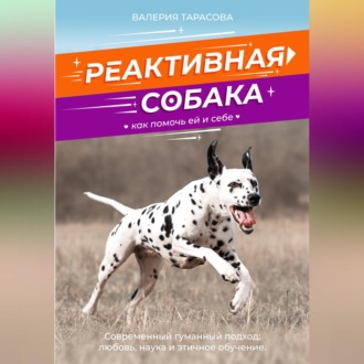 Реактивная собака. Как помочь ей и себе.