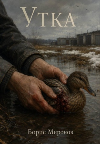Утка