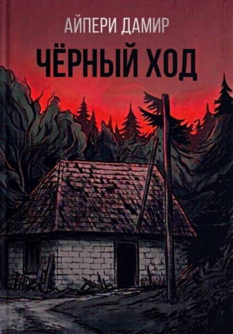 Чёрный ход