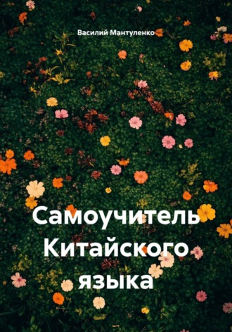 Самоучитель Китайского языка