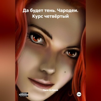 Да будет тень. Чародеи. Курс четвёртый