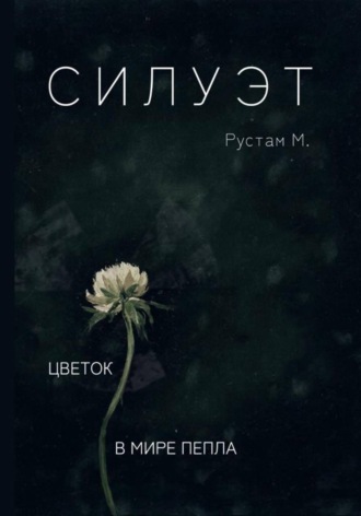 Силуэт