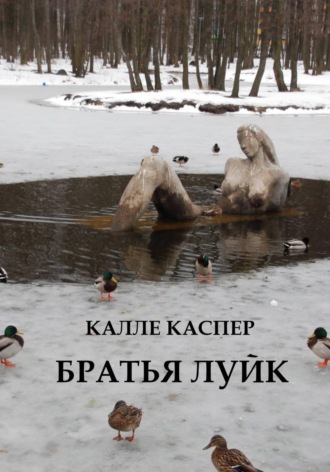 Братья Луйк