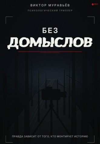 Без домыслов