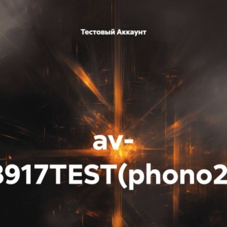 av- 8917TEST(phono2)