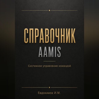 Справочник AAMIS системное управление командами