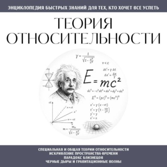 Теория относительности. Для тех, кто хочет всё успеть