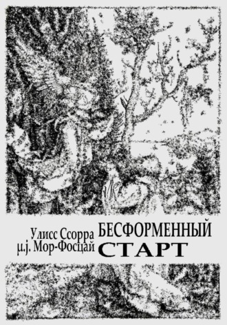 Бесформенный старт. Сборник стихотворений
