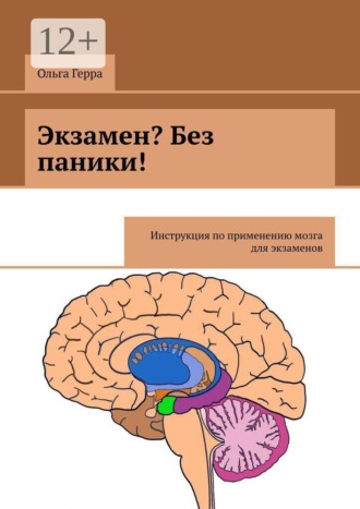 Экзамен? Без паники! Инструкция по применению мозга для экзаменов