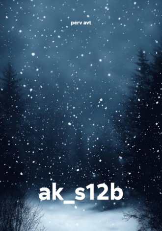 ak_s12b