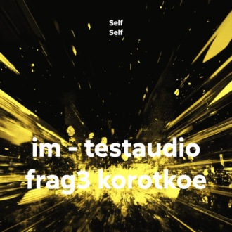 im – testaudio frag3 korotkoe