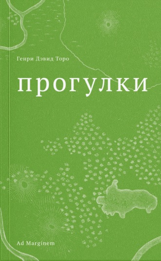Прогулки