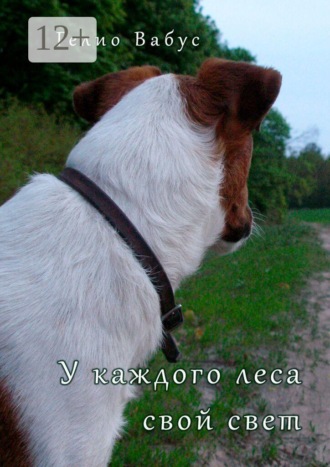 У каждого леса свой свет