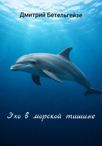 Эхо в морской тишине
