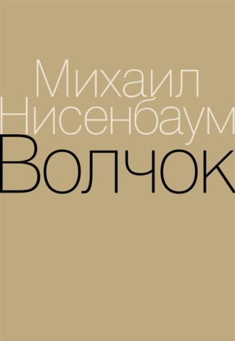 Волчок