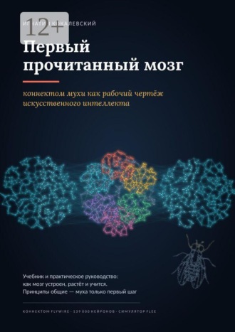 Первый прочитанный мозг. Коннектом мухи как рабочий чертёж искусственного интеллекта