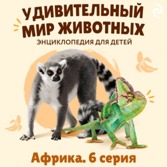 Удивительный мир животных. Африка. Серия 6