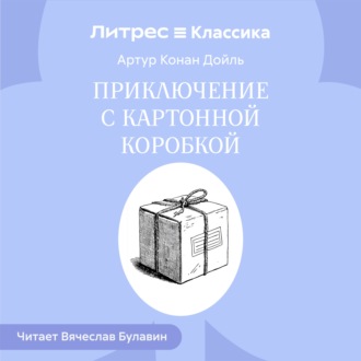 Приключение с картонной коробкой