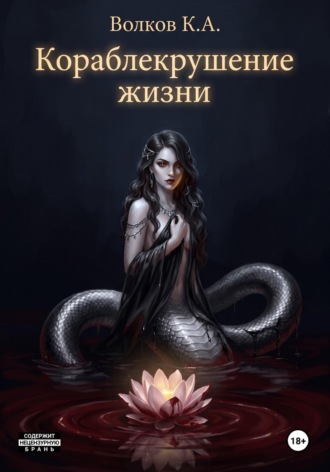 Кораблекрушение жизни