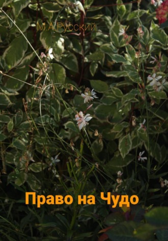 Право на чудо
