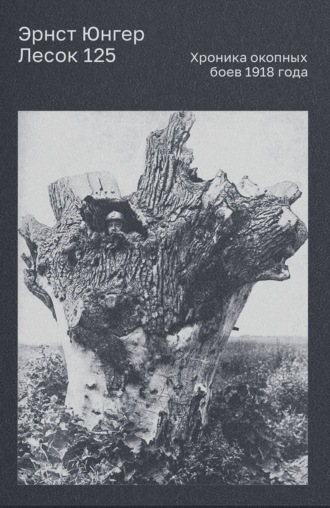 Лесок 125. Хроника окопных боев 1918