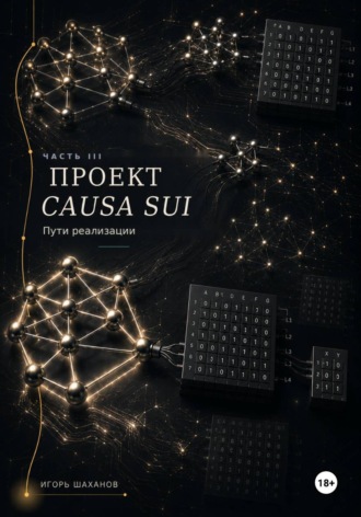 Проект Causa Sui - пути реализации Часть III