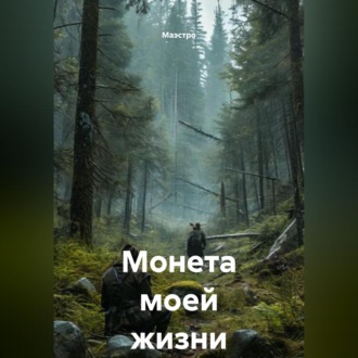 Монета моей жизни