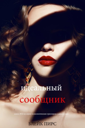 Идеальный сообщник