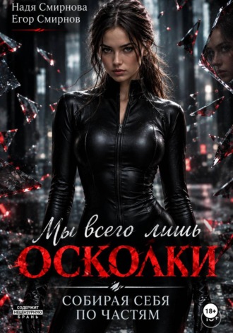 Мы всего лишь осколки: собирая себя по частям